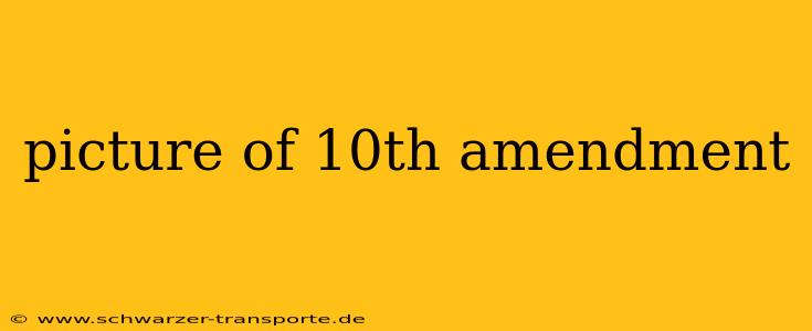 picture of 10th amendment