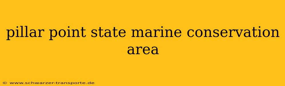 pillar point state marine conservation area