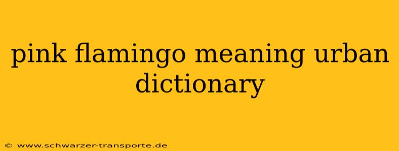 pink flamingo meaning urban dictionary