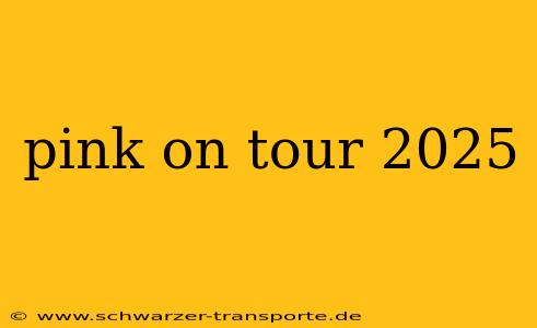 pink on tour 2025