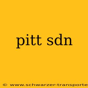 pitt sdn