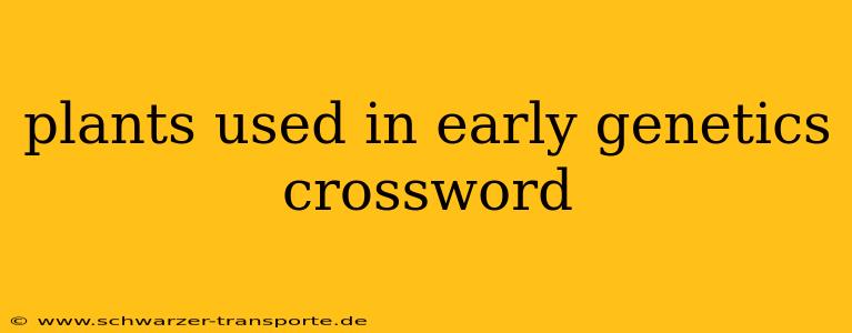 plants used in early genetics crossword