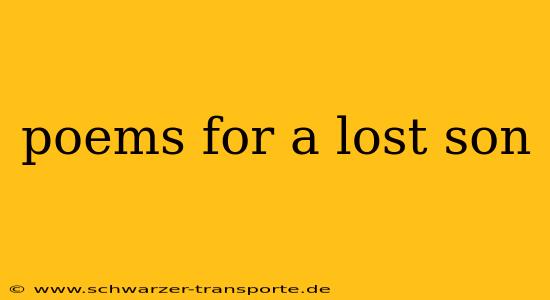 poems for a lost son