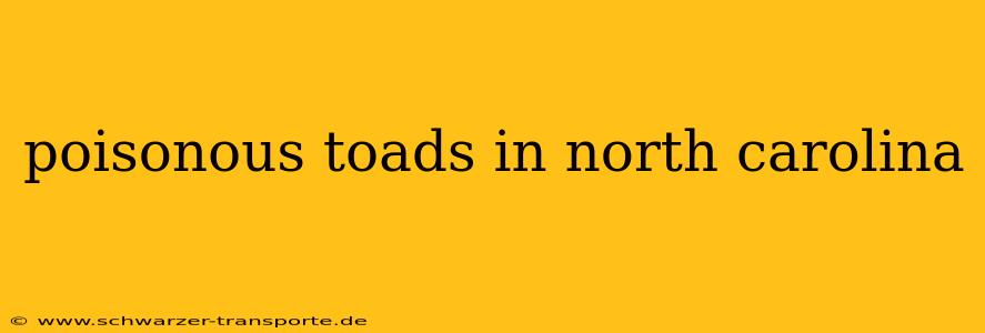 poisonous toads in north carolina