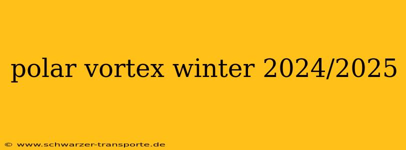 polar vortex winter 2024/2025