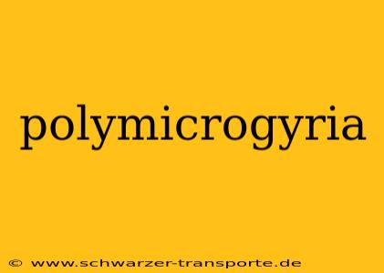 polymicrogyria