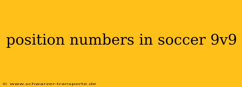 position numbers in soccer 9v9