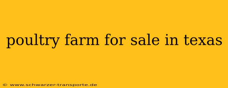 poultry farm for sale in texas
