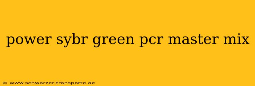 power sybr green pcr master mix