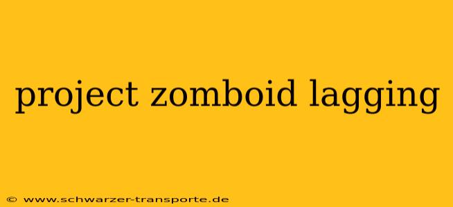 project zomboid lagging