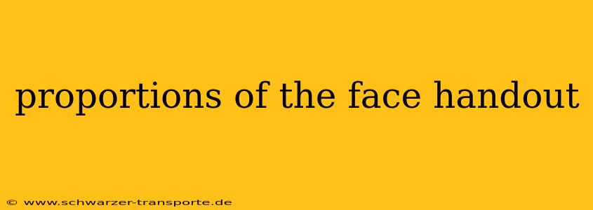 proportions of the face handout