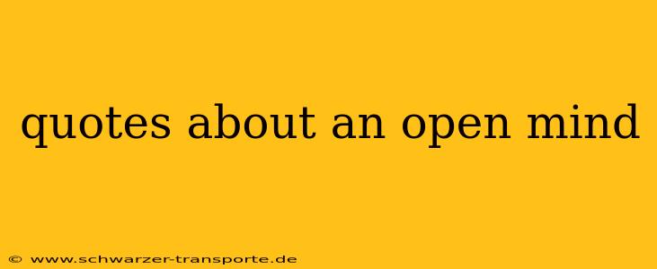 quotes about an open mind