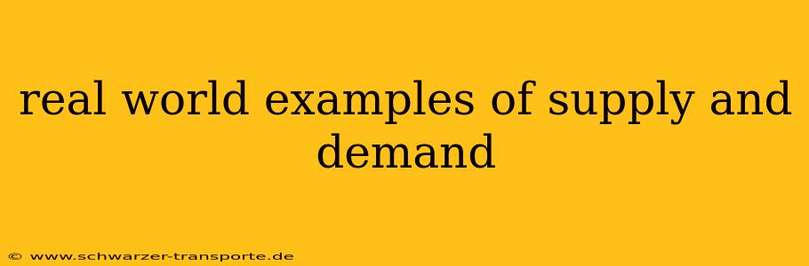 real world examples of supply and demand