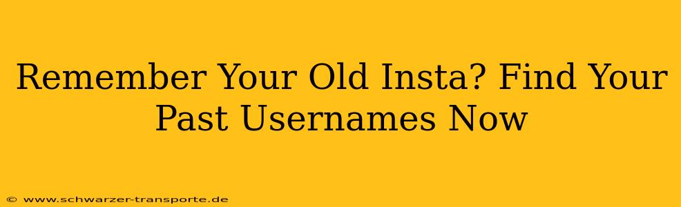 Remember Your Old Insta? Find Your Past Usernames Now