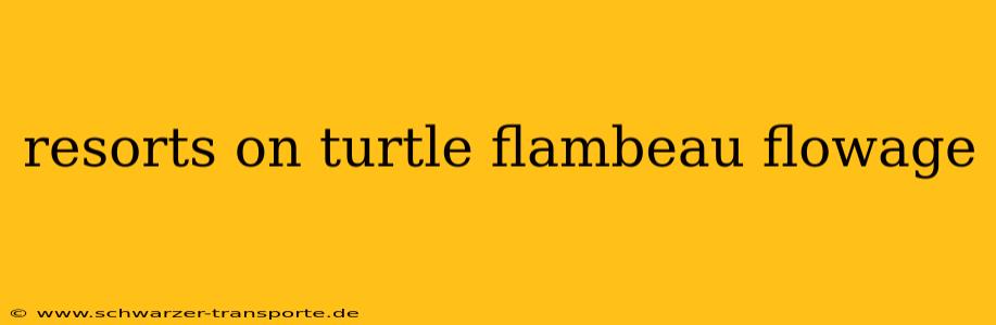 resorts on turtle flambeau flowage