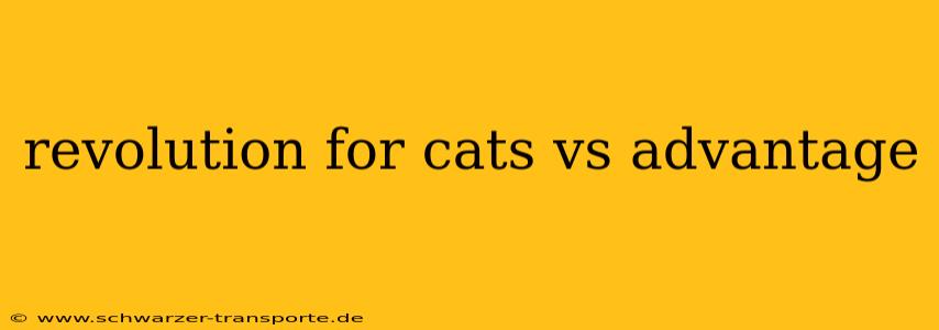 revolution for cats vs advantage