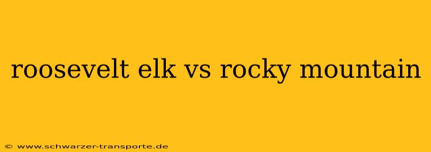 roosevelt elk vs rocky mountain
