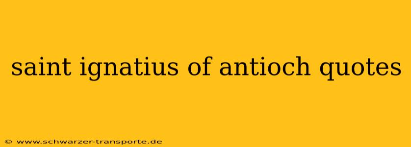 saint ignatius of antioch quotes