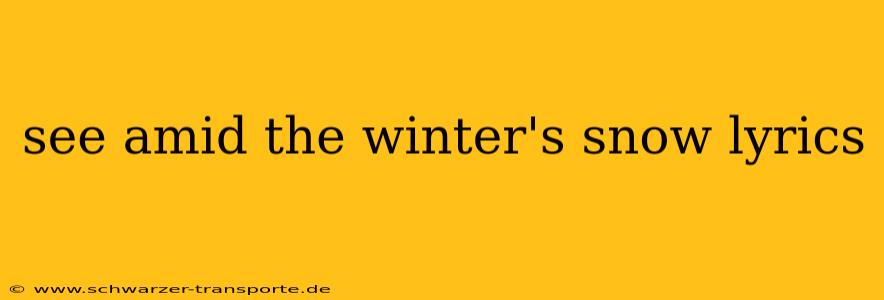 see amid the winter's snow lyrics