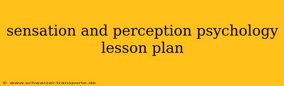 sensation and perception psychology lesson plan