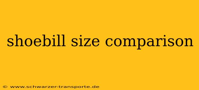 shoebill size comparison