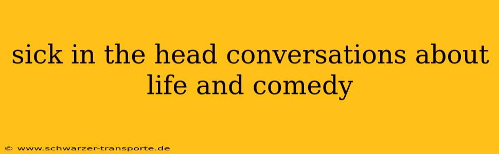 sick in the head conversations about life and comedy