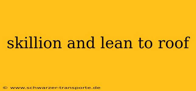 skillion and lean to roof