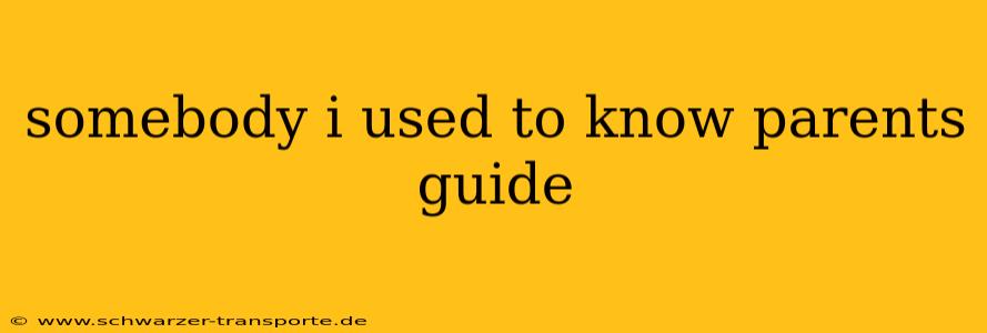 somebody i used to know parents guide