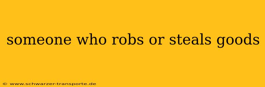 someone who robs or steals goods