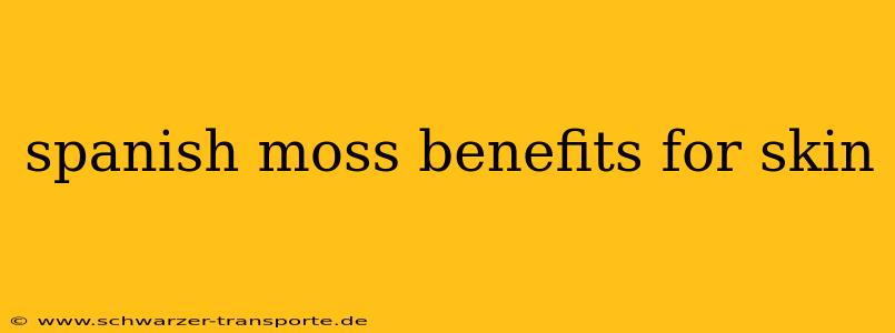 spanish moss benefits for skin