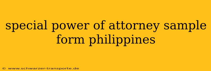 special power of attorney sample form philippines
