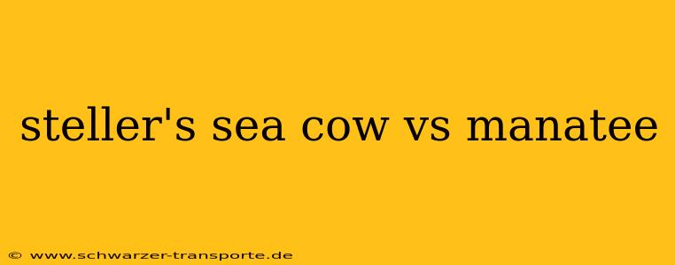 steller's sea cow vs manatee