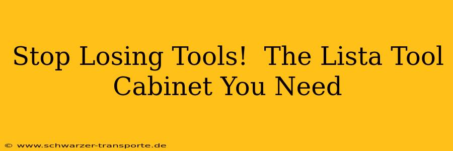 Stop Losing Tools!  The Lista Tool Cabinet You Need