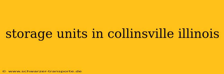 storage units in collinsville illinois