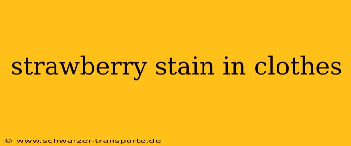 strawberry stain in clothes