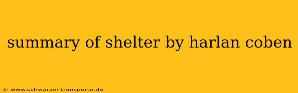 summary of shelter by harlan coben