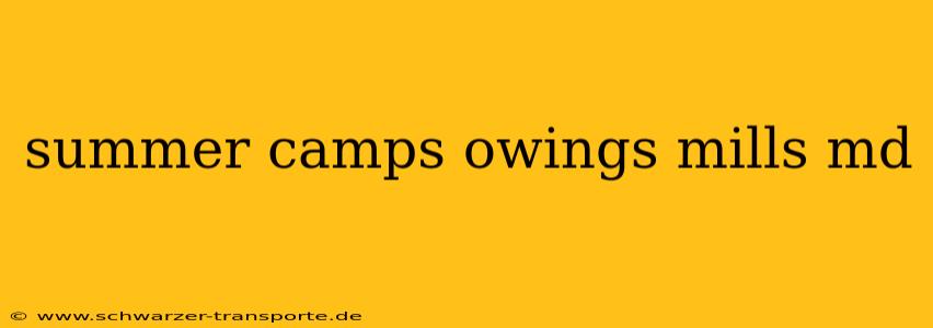 summer camps owings mills md