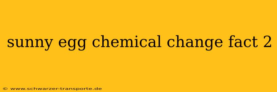 sunny egg chemical change fact 2