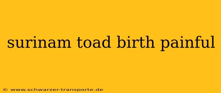 surinam toad birth painful
