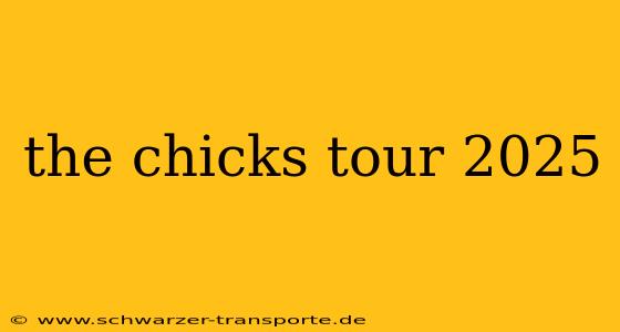 the chicks tour 2025