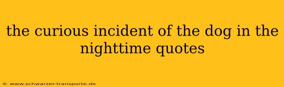 the curious incident of the dog in the nighttime quotes