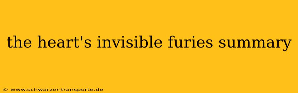 the heart's invisible furies summary