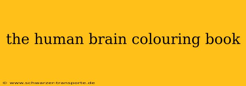 the human brain colouring book