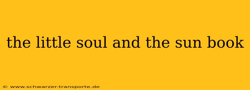 the little soul and the sun book
