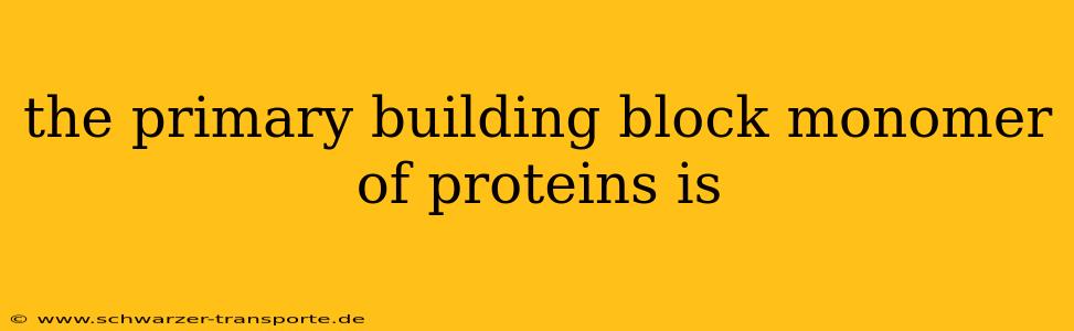 the primary building block monomer of proteins is