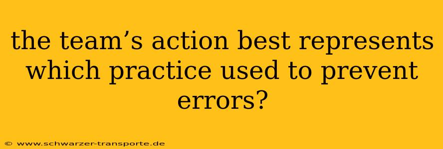 the team’s action best represents which practice used to prevent errors?