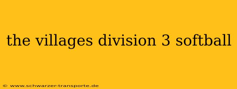 the villages division 3 softball