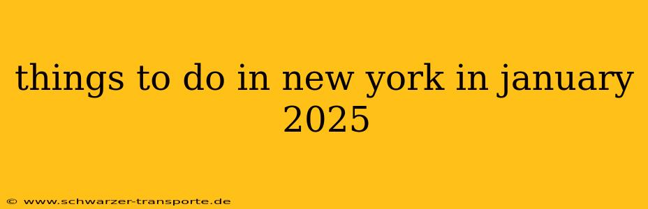 things to do in new york in january 2025