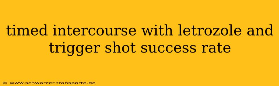 timed intercourse with letrozole and trigger shot success rate