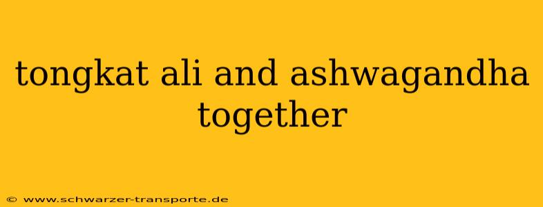 tongkat ali and ashwagandha together